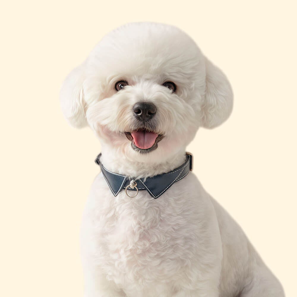 Personalised Dog Collar with Bowtie