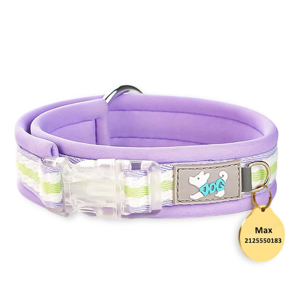 Clear Buckle Name Dog Collar