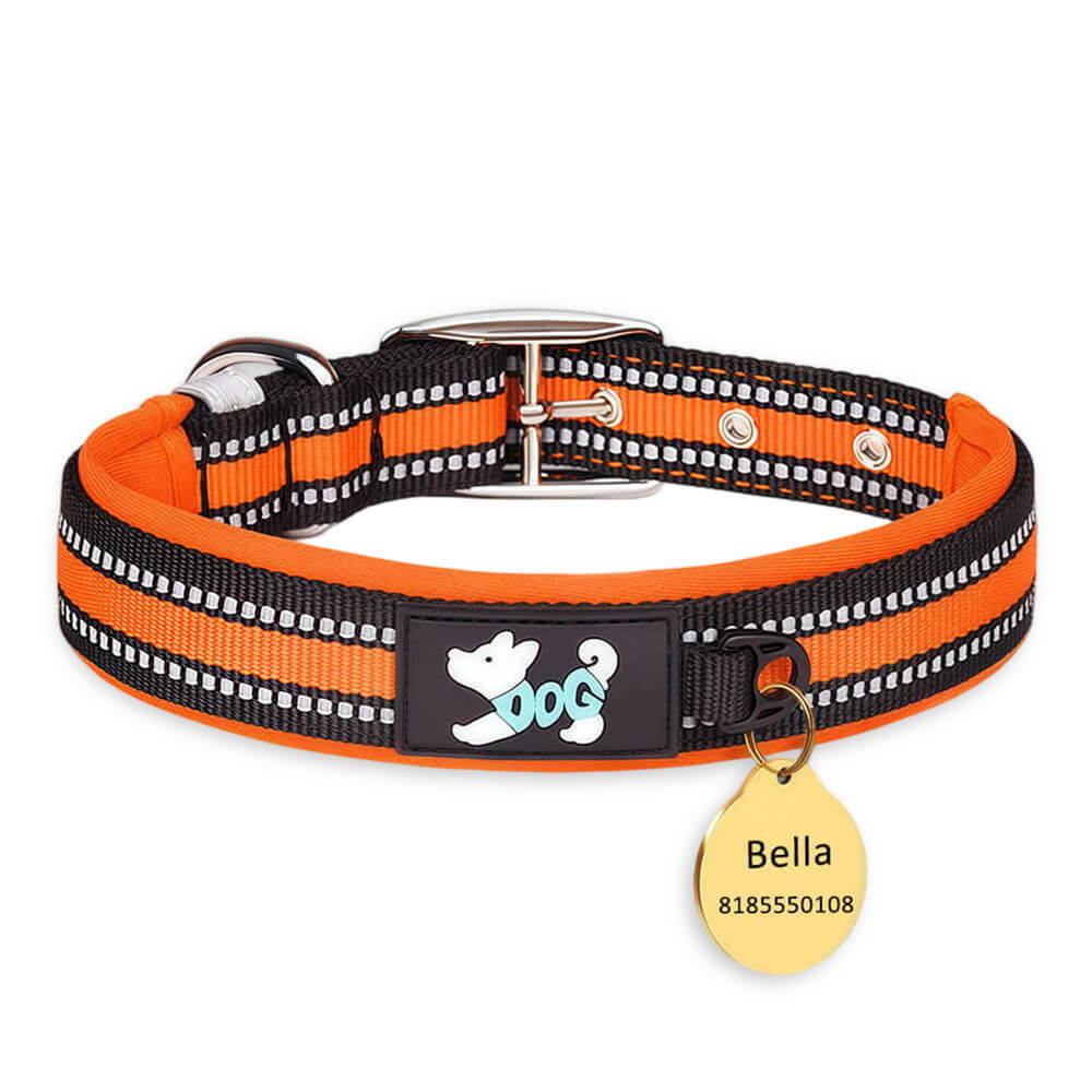 Personalised Dog Collar