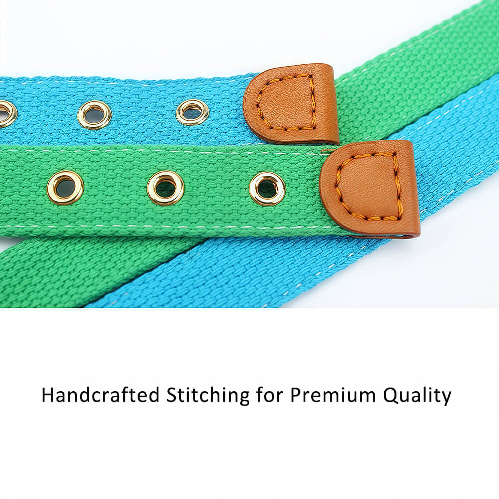Contrast Bow Tie Collar with Nameplate