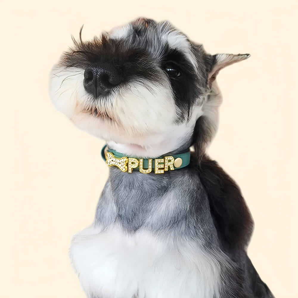 Rhinestone Name Dog Collar