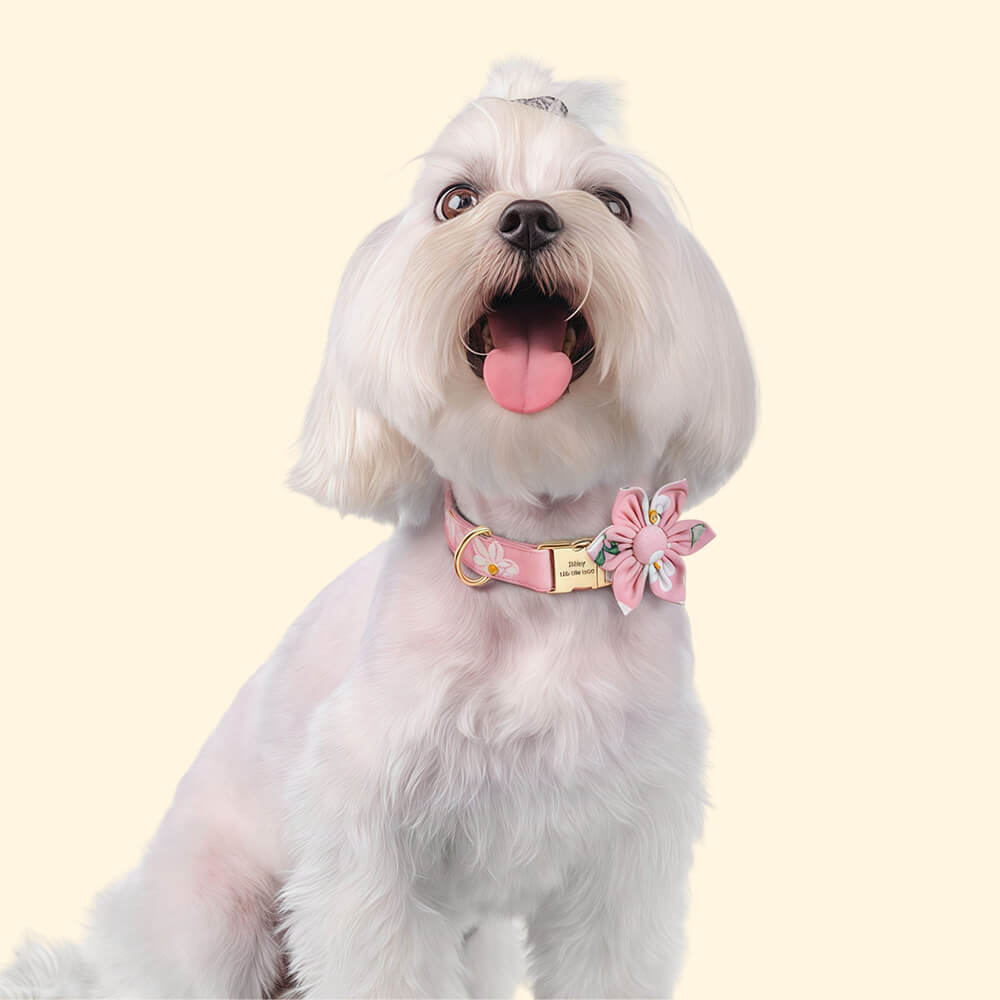 Personalised Dog Collar with Flower