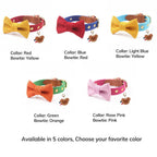 Contrast Bow Tie Collar with Nameplate