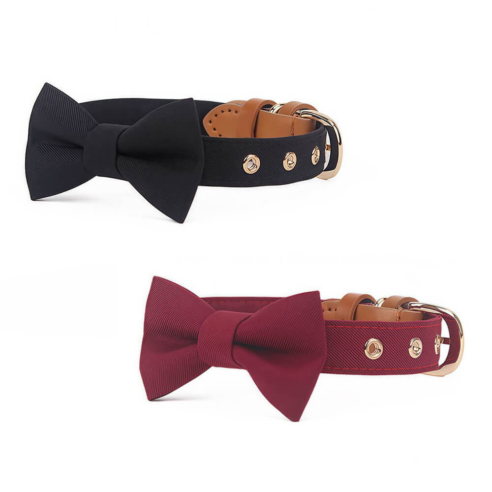 Classic Bow Tie Collar with Nameplate
