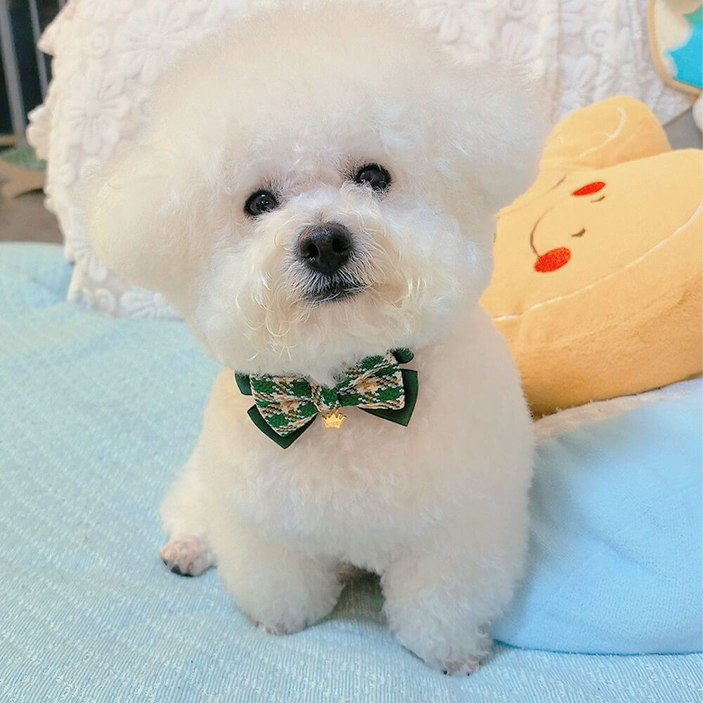 Elegant Plaid Bow Tie Collar with Nameplate