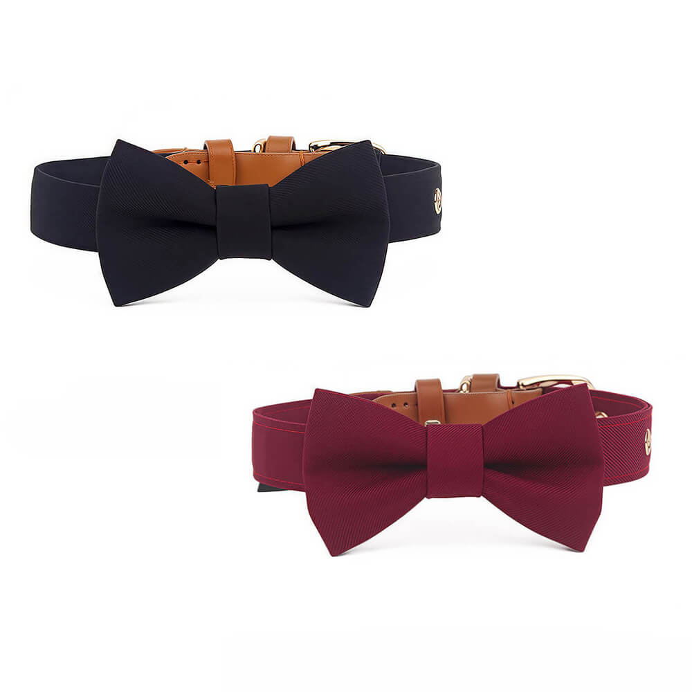 Classic Bow Tie Collar with Nameplate