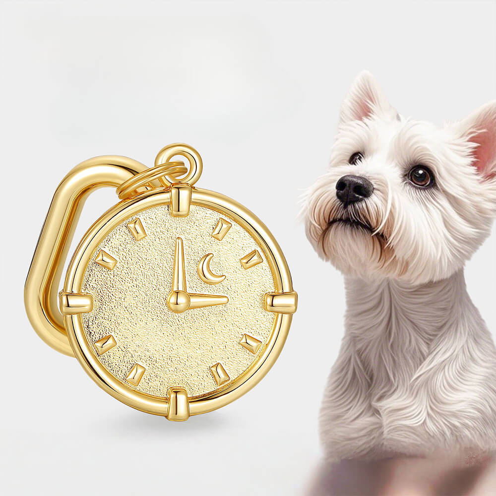 Clock Engraved Pet ID Tag