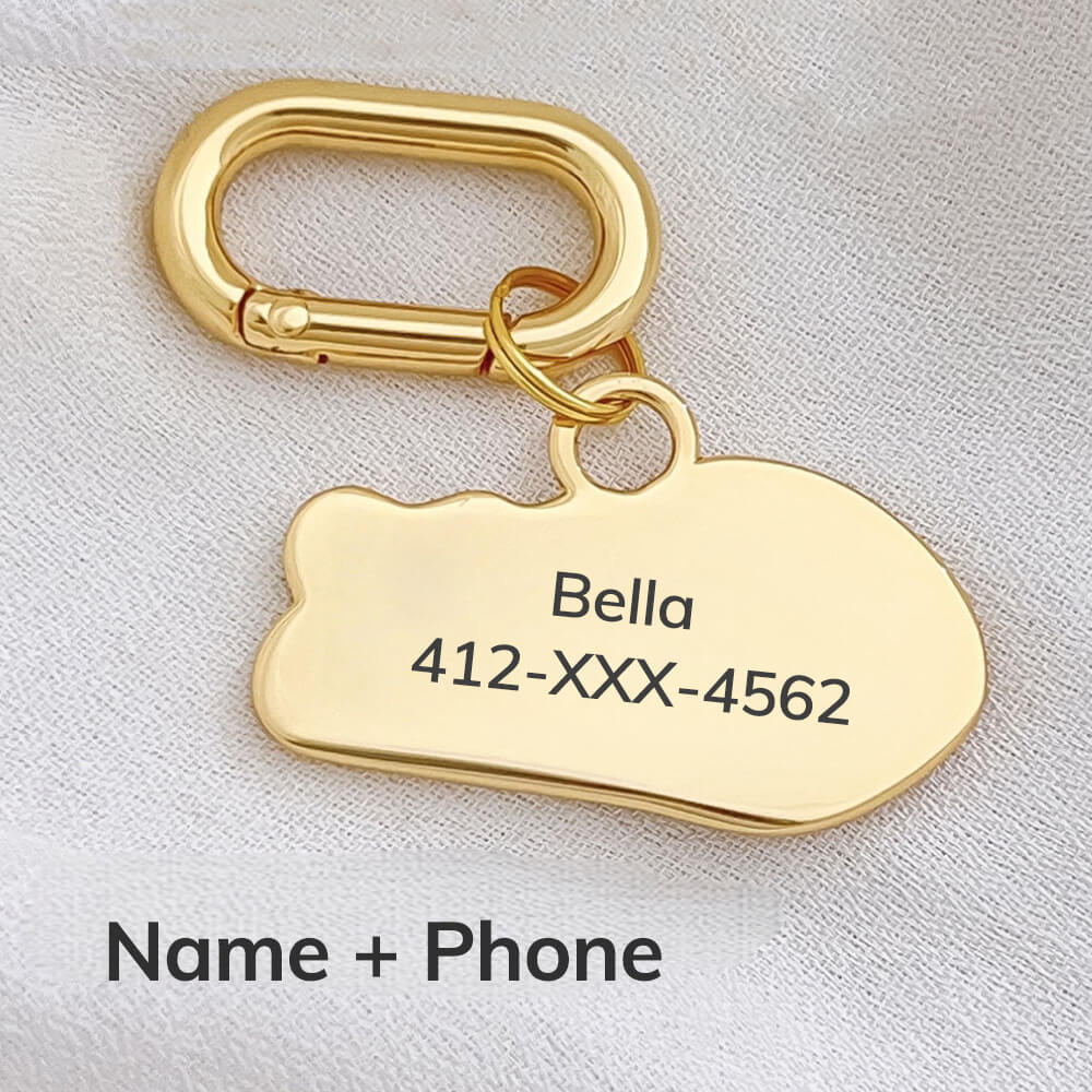 Fishbone Engraved Pet ID Tag