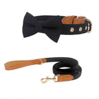 Classic Bow Tie Collar with Nameplate