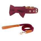 Classic Bow Tie Collar with Nameplate