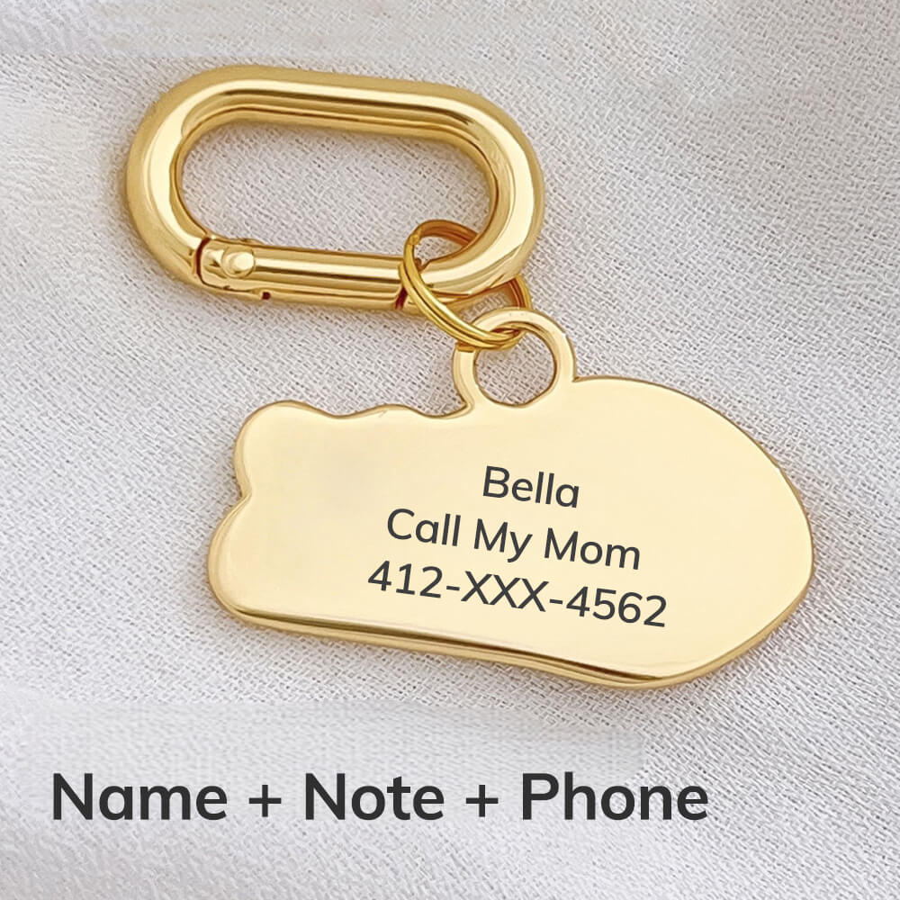 Fishbone Engraved Pet ID Tag