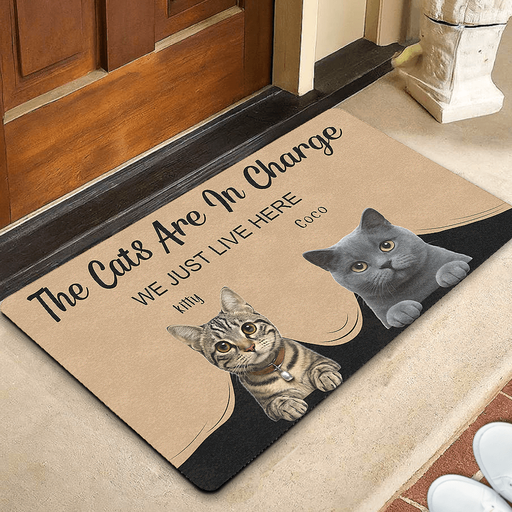 custom cat doormat