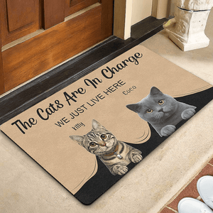 custom cat doormat