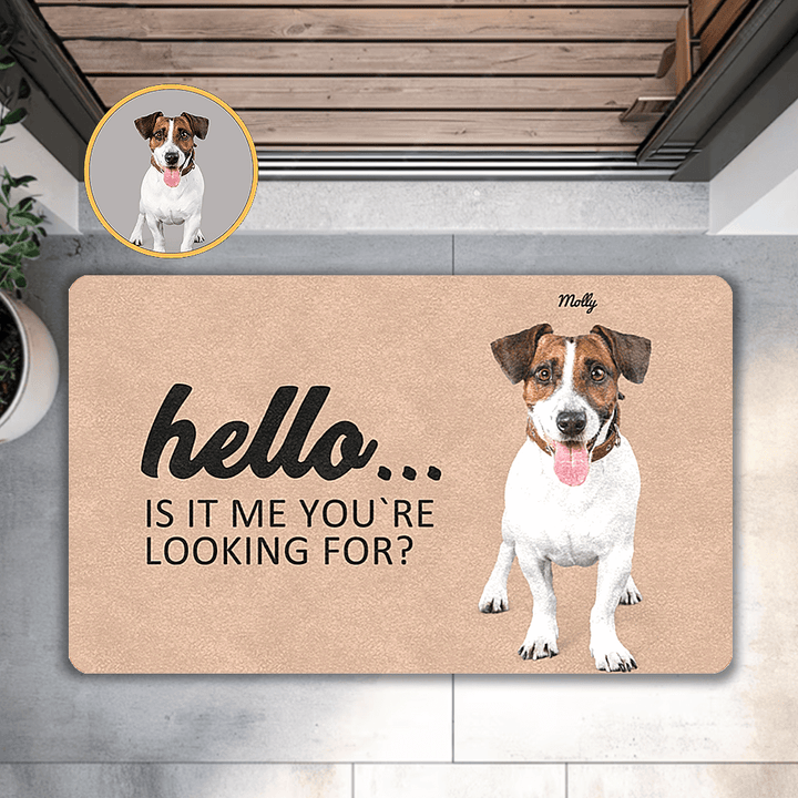 custom dog doormat