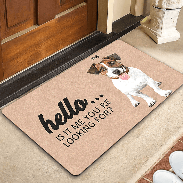 custom dog doormat