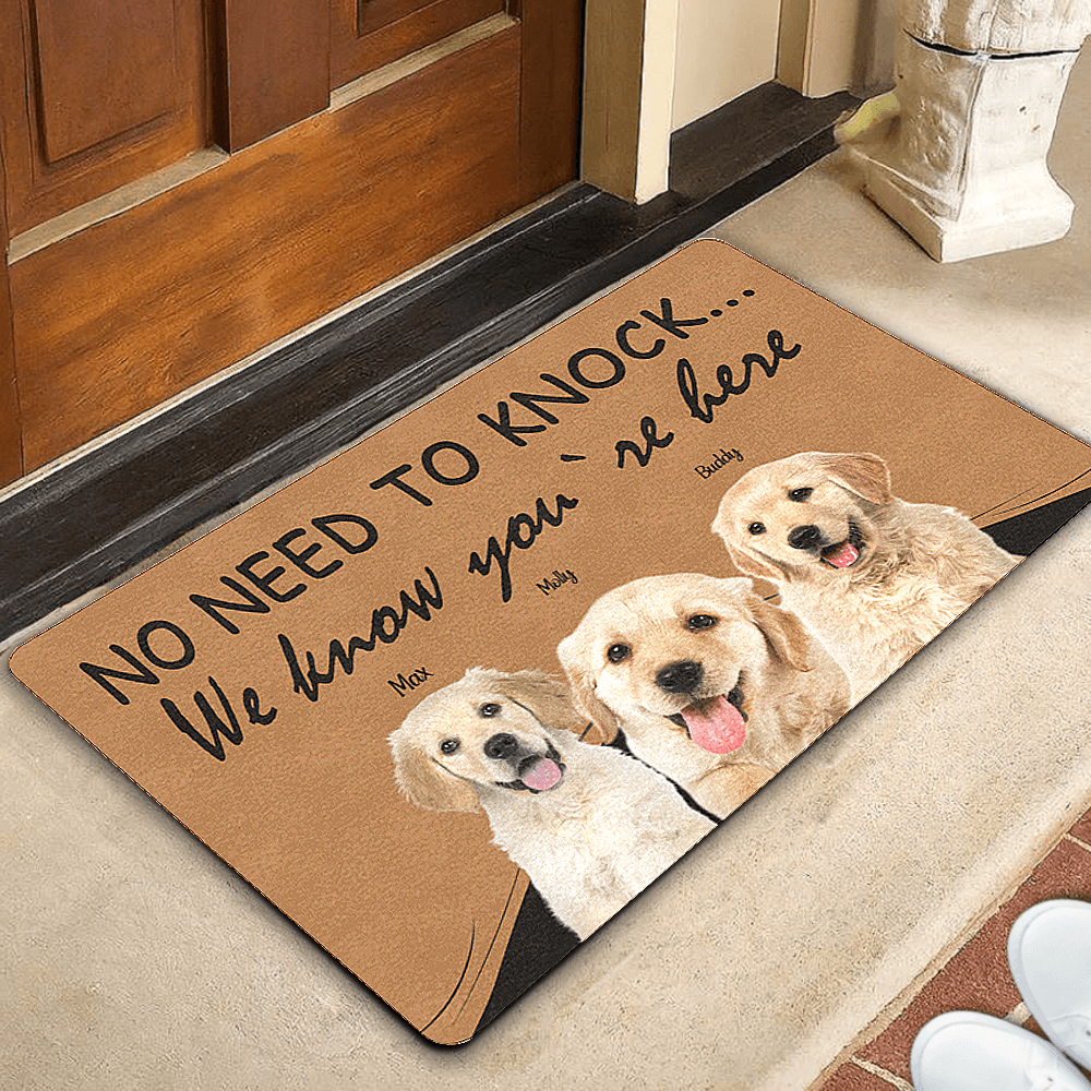 Custom Dog Doormat No Need to Knock the Door