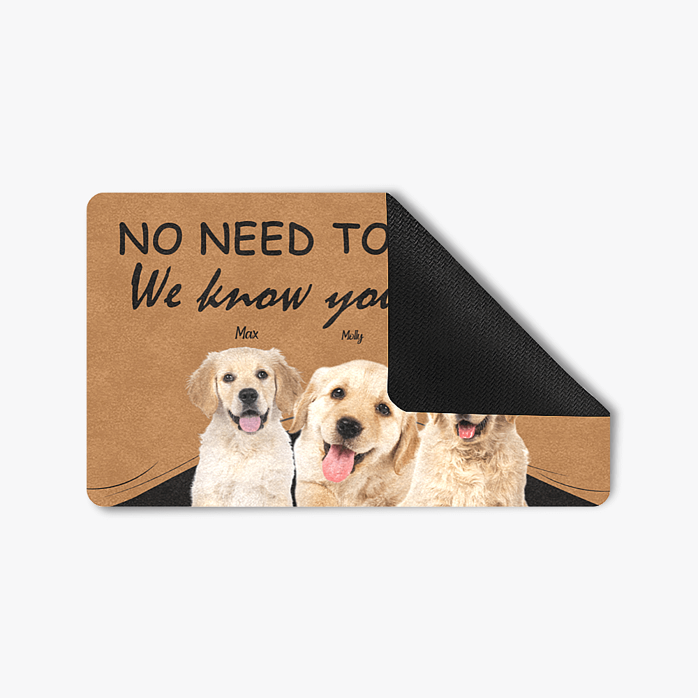 Custom Dog Doormat Personalised Doormat Pet Doormat for More pets