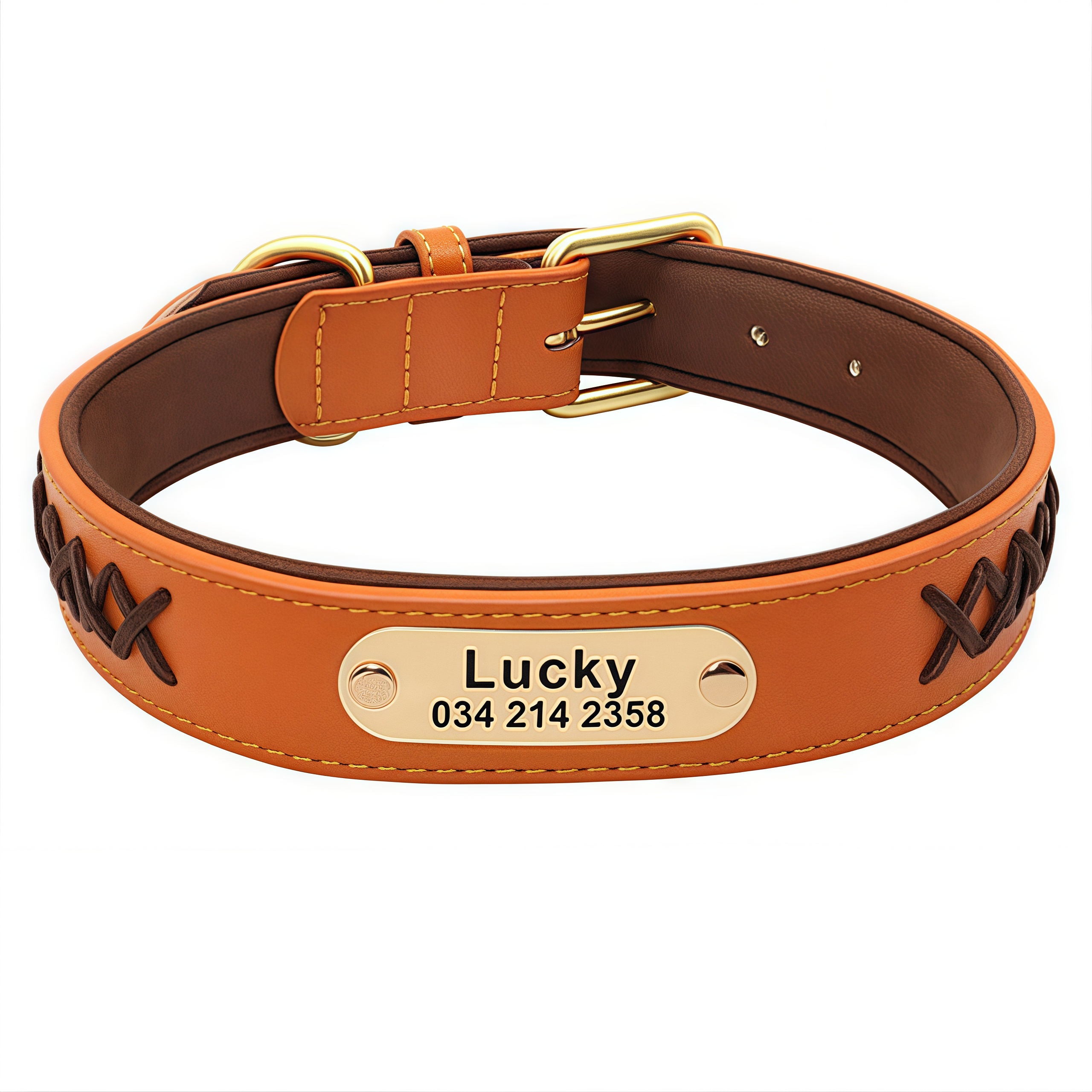 Colorblock Name Dog Collar
