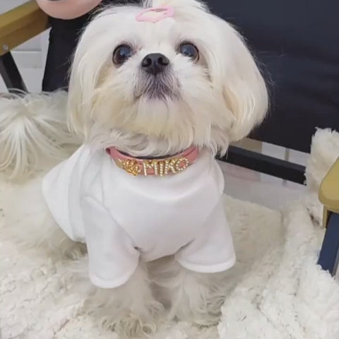 Rhinestone Name Dog Collar