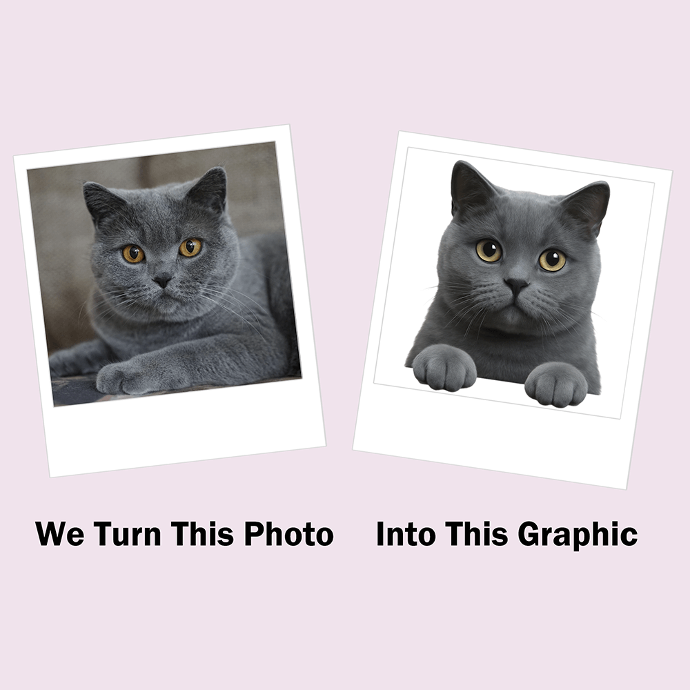 custom cat doormat