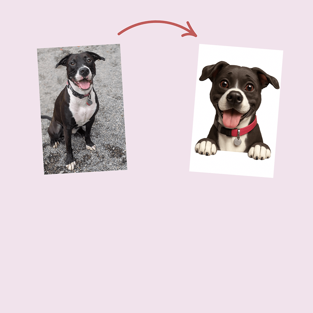 custom dog doormat