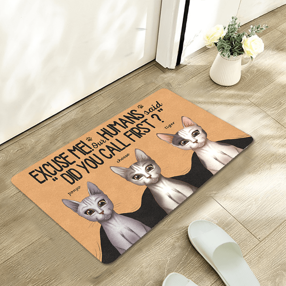 Excuse Me - Custom Cat Doormat  Funny Doormat for Pet Lovers