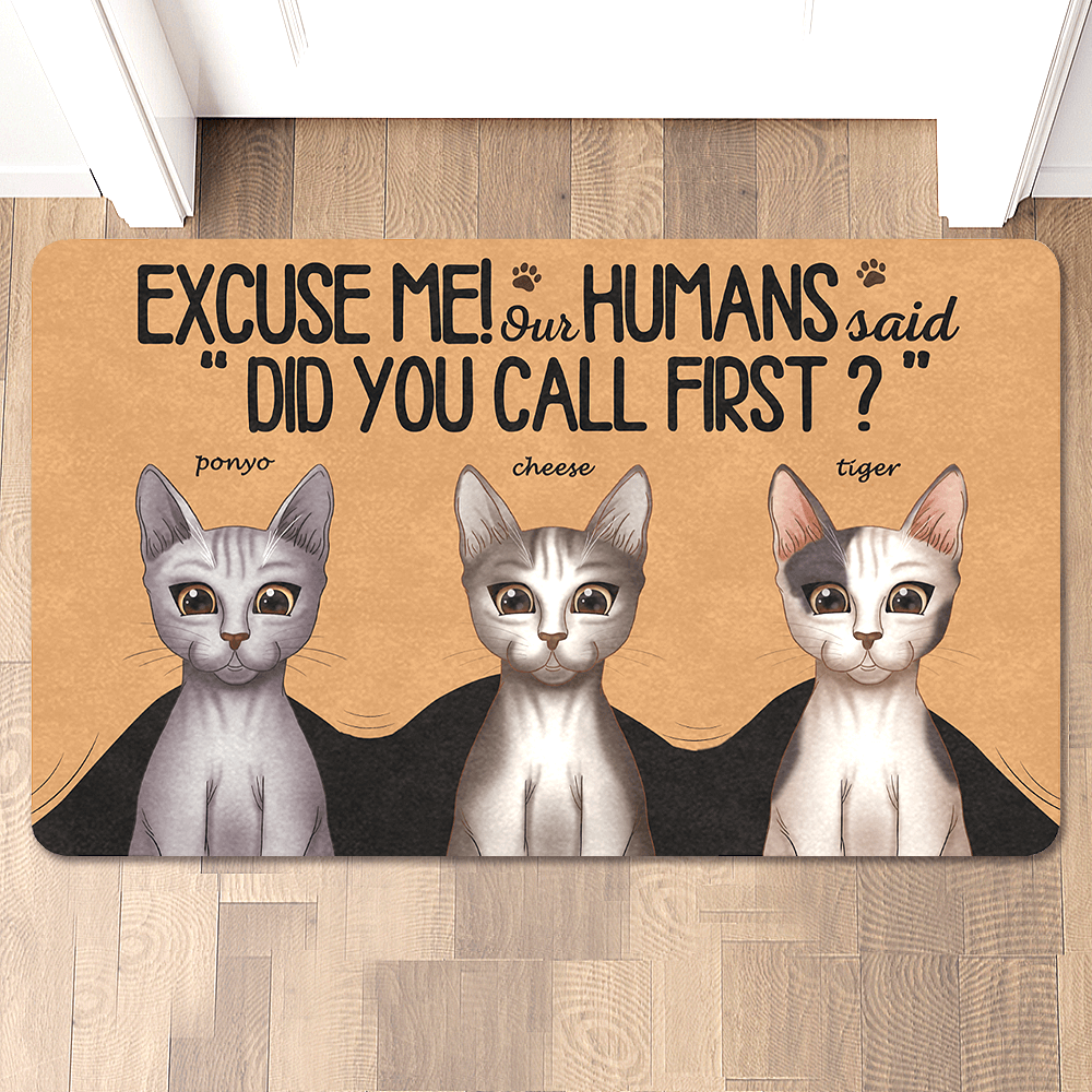 Excuse Me - Custom Cat Doormat  Funny Doormat for Pet Lovers
