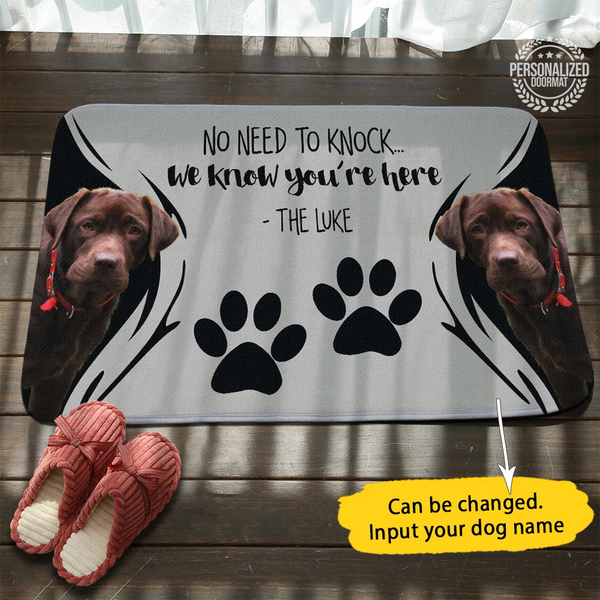 Custom Funny Doormat No Need To Knock With Your Pet