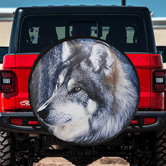 custom tire cover