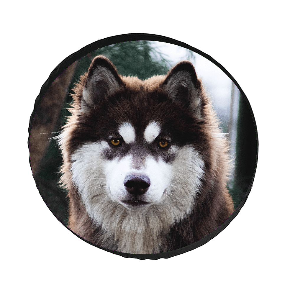 custom tire cover