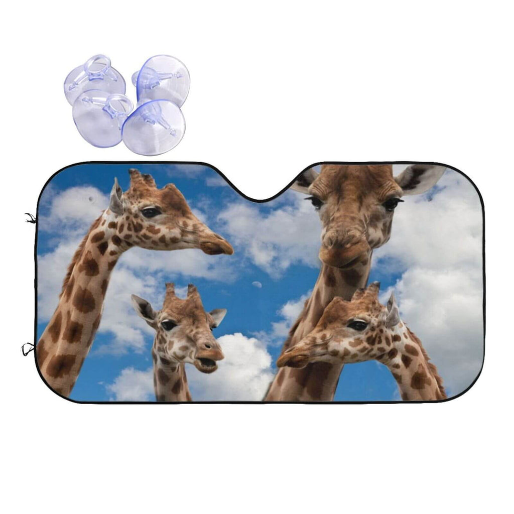 Custom Car Sunshade