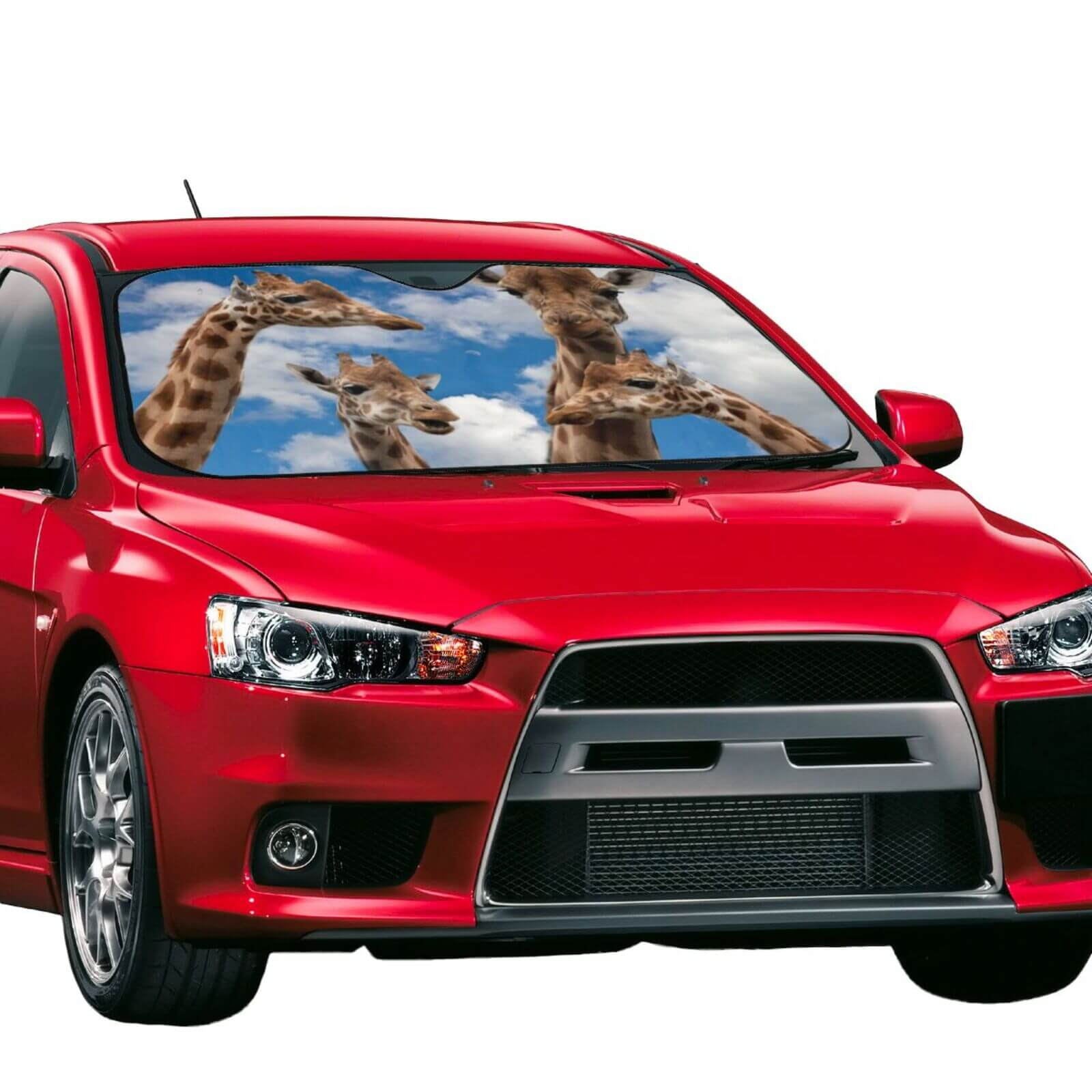 Custom Car Sunshade
