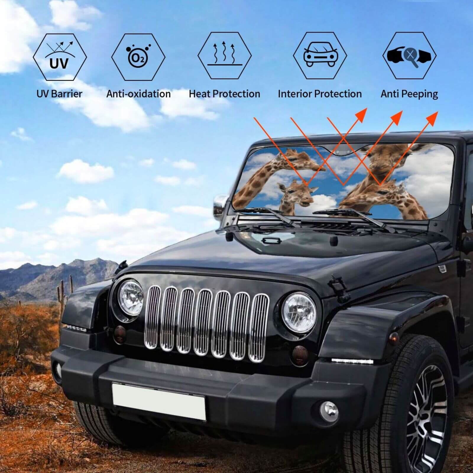 Custom Car Sunshade