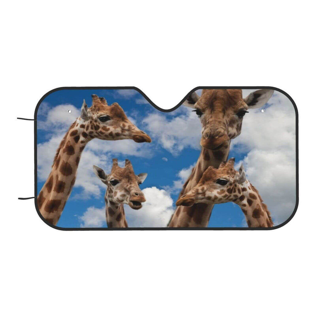 Custom Car Sunshade
