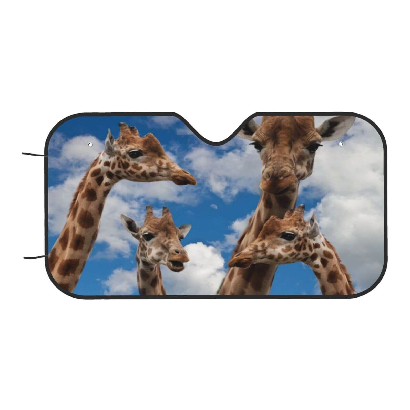 Custom Car Sunshade