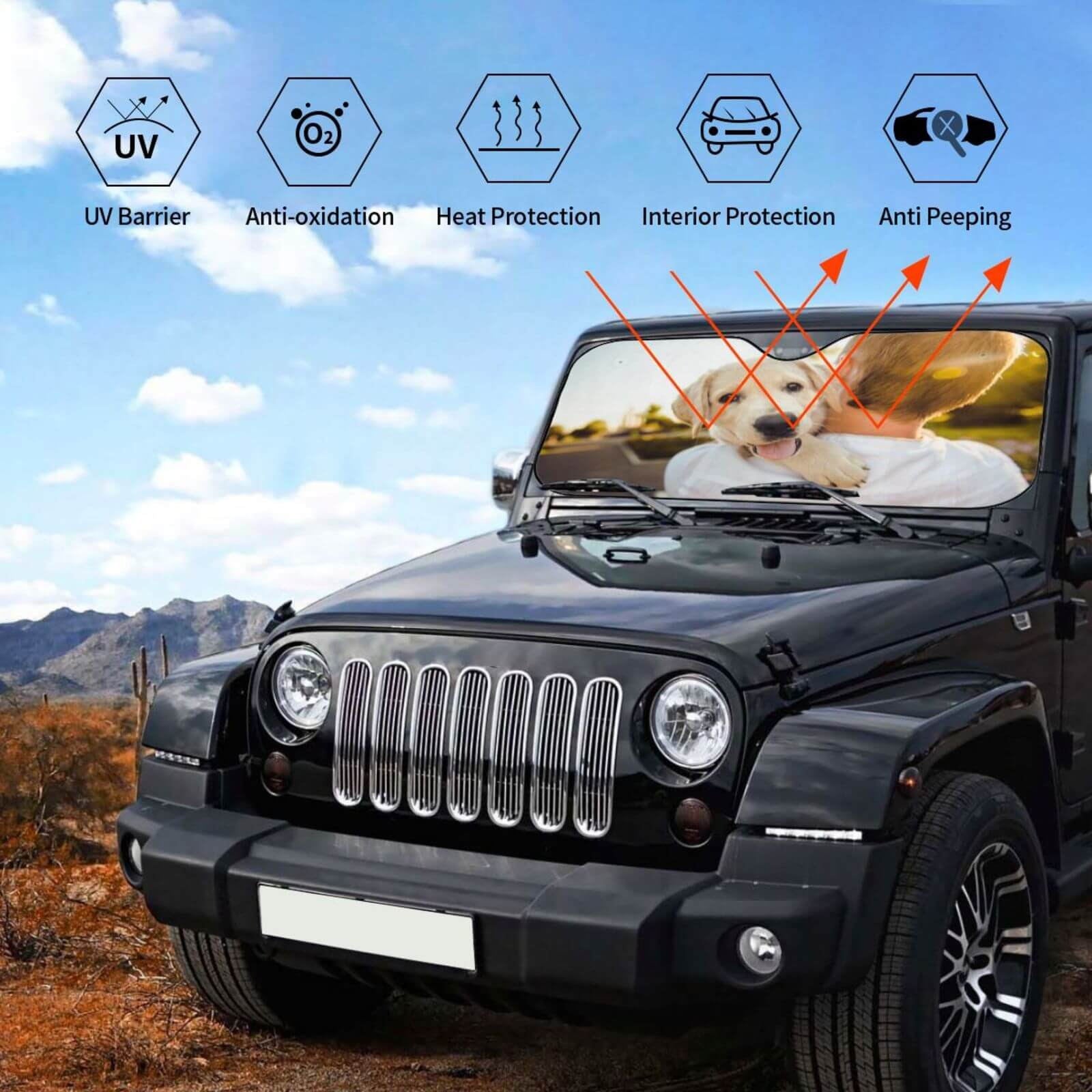 Custom Car Sunshade