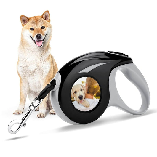 custom pet leash