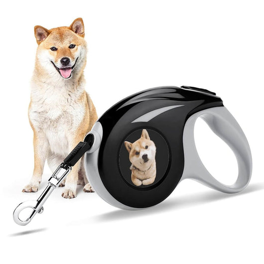 custom pet leash