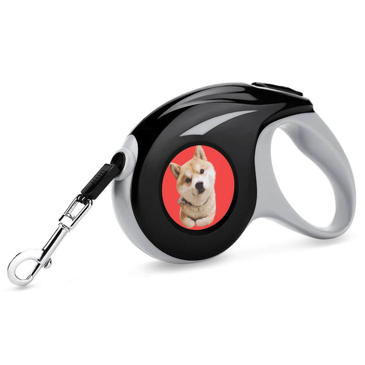 custom pet leash