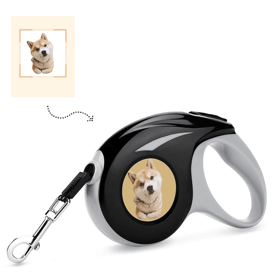 custom pet leash