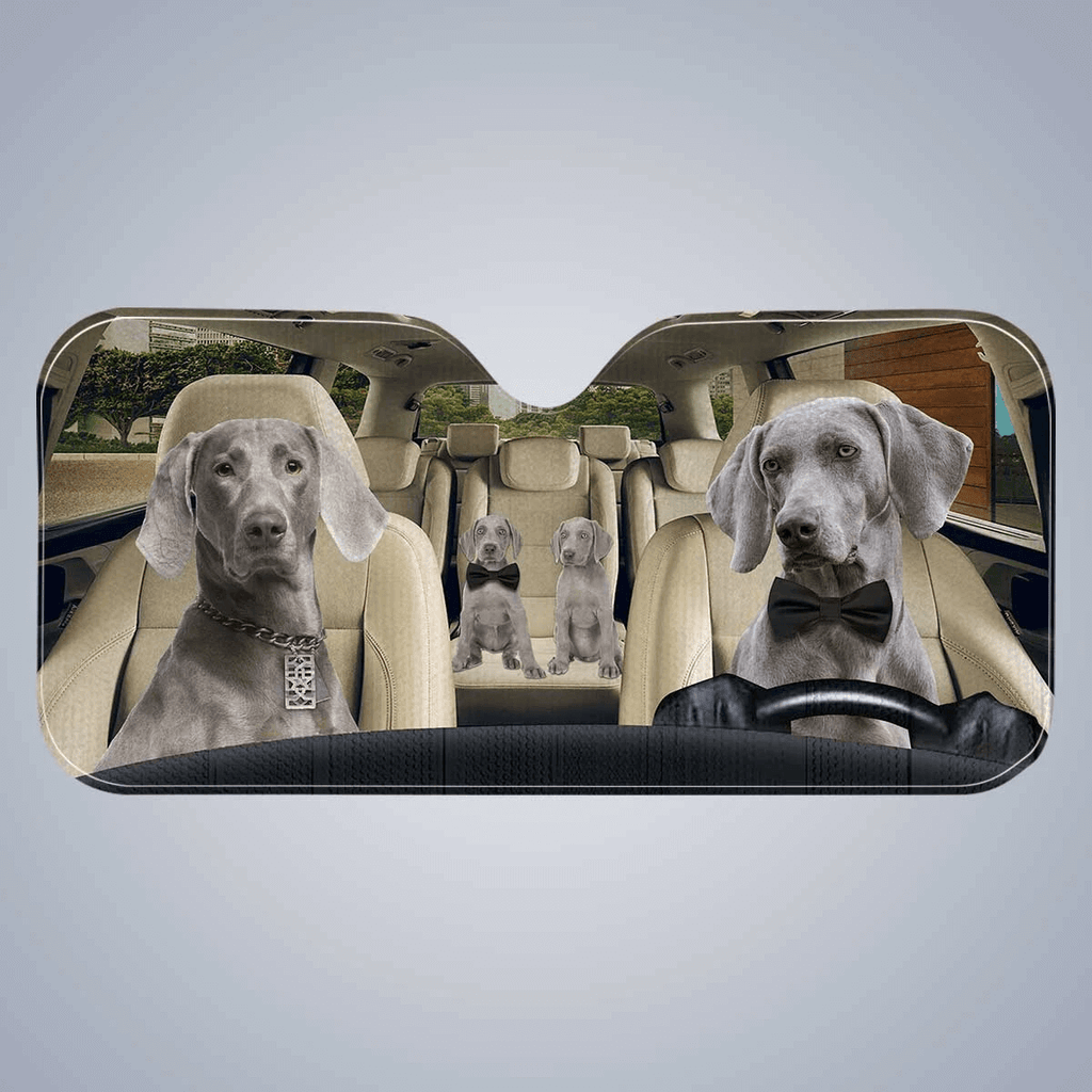 Custom Car Sunshade