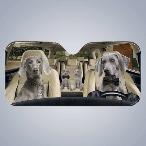 Custom Car Sunshade
