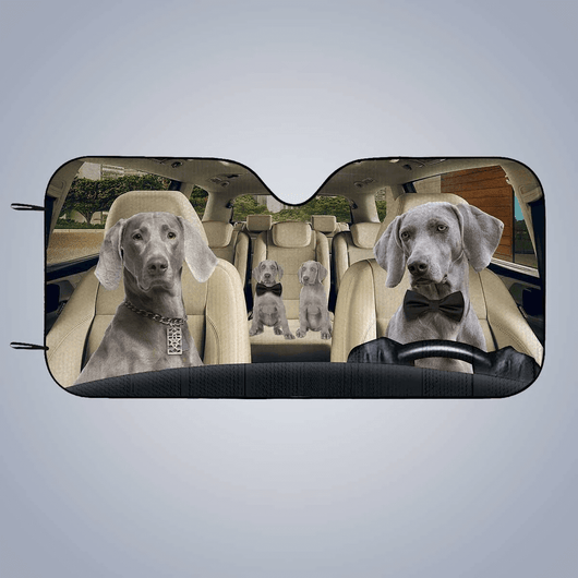 Custom Car Sunshade