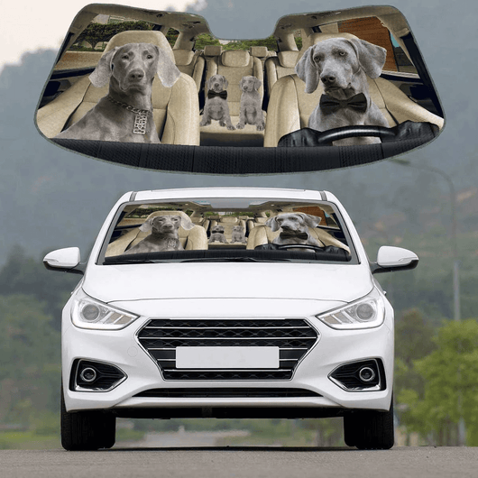 Custom Car Sunshade