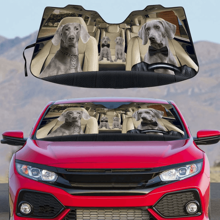 Custom Car Sunshade