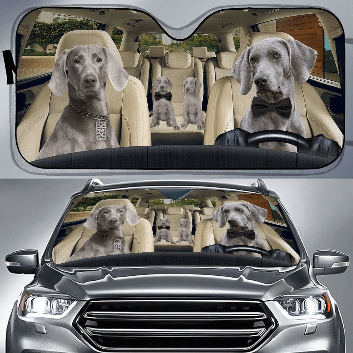 Custom Car Sunshade
