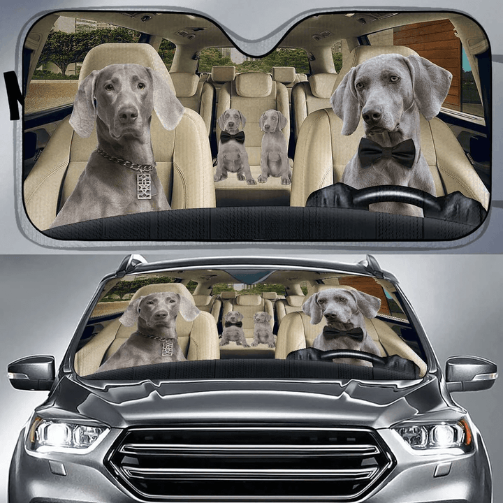 Custom Car Sunshade