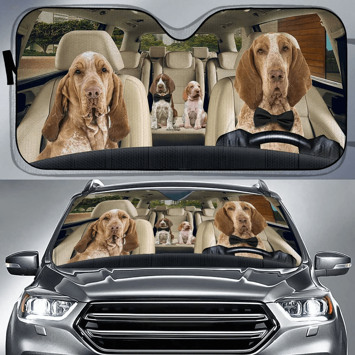 Custom Car Sunshade