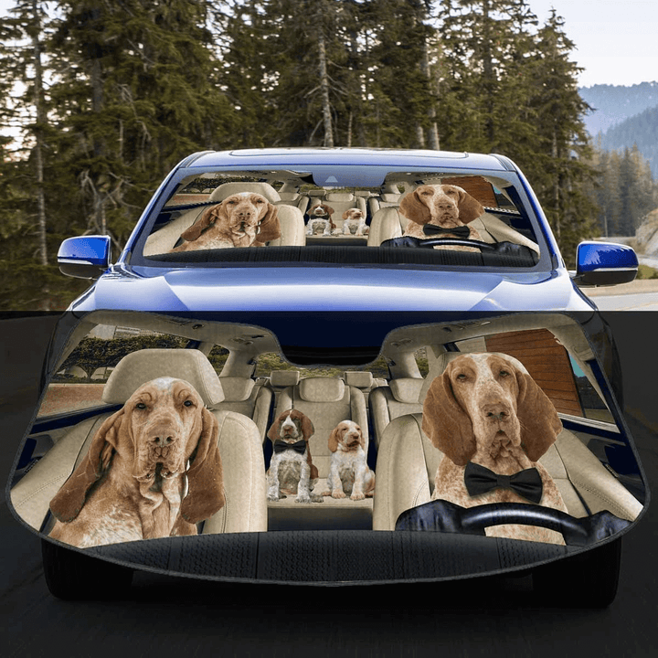 Custom Car Sunshade