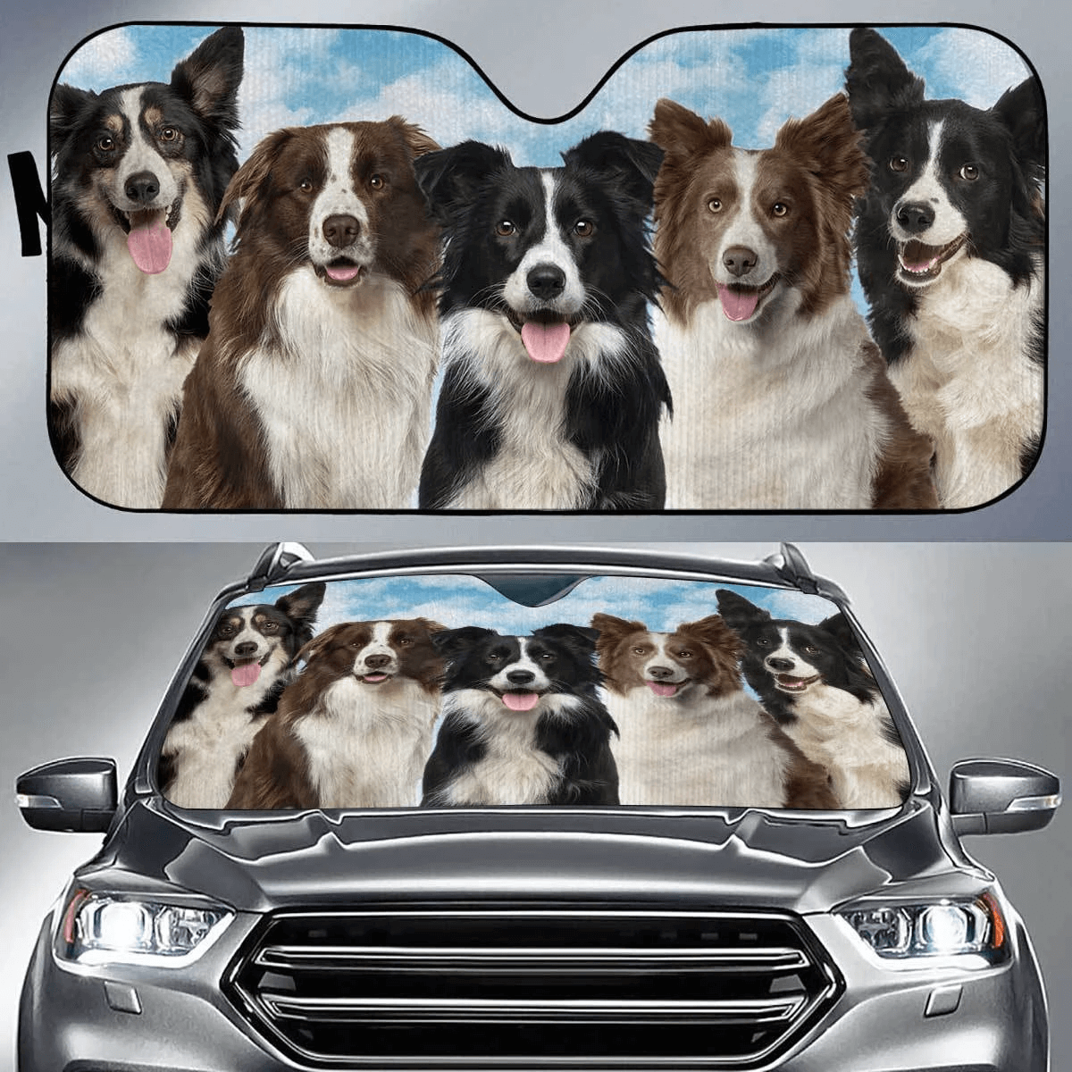 Custom Car Sunshade